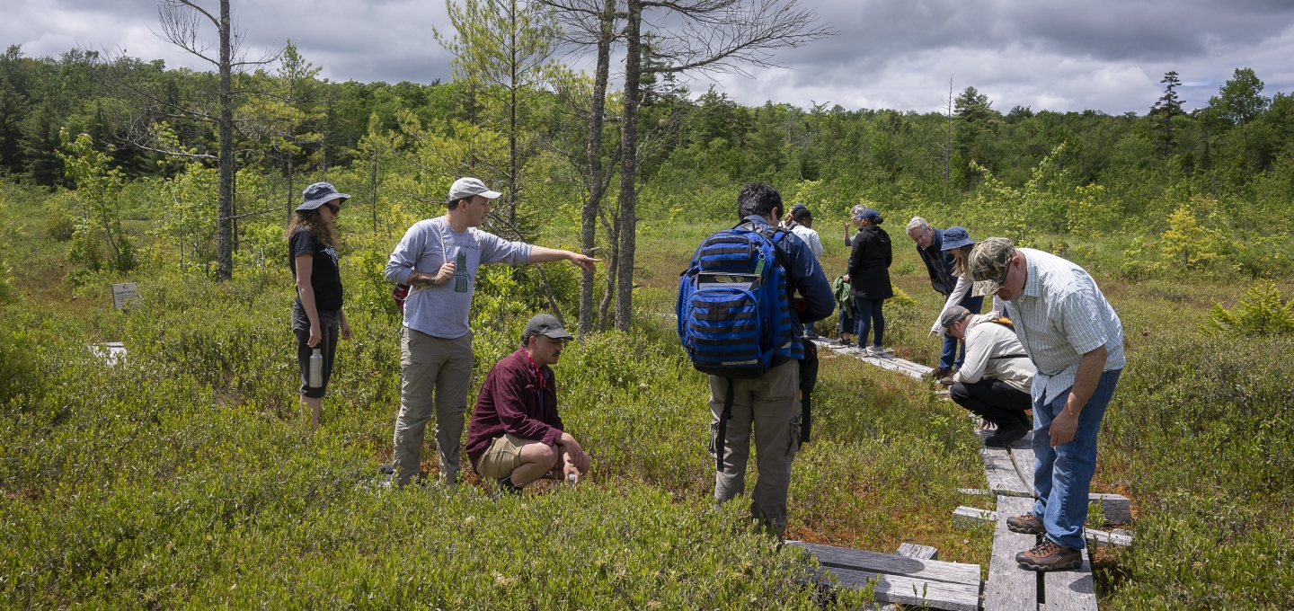 People standing on a boardwalk exploring Hawley Bog