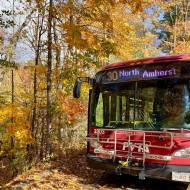 Red PVTA bus in fall foliage