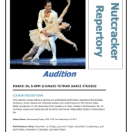 A ballerina in tutu is suspended on their side by their danseur partner