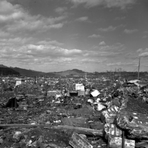 A destroyed landscape.